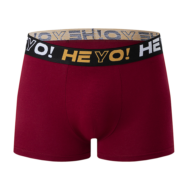 4-teiliges Set Herren-Unterwäs – Boxer Brief Pack Cotton Bewertung und Preis